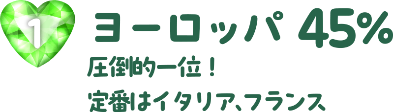 ヨーロッパ　45%
