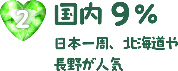 国内　9%