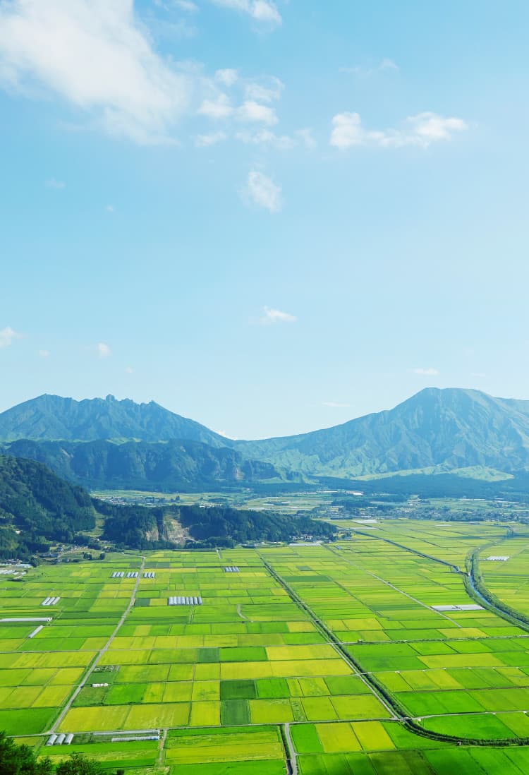 メインビジュアル