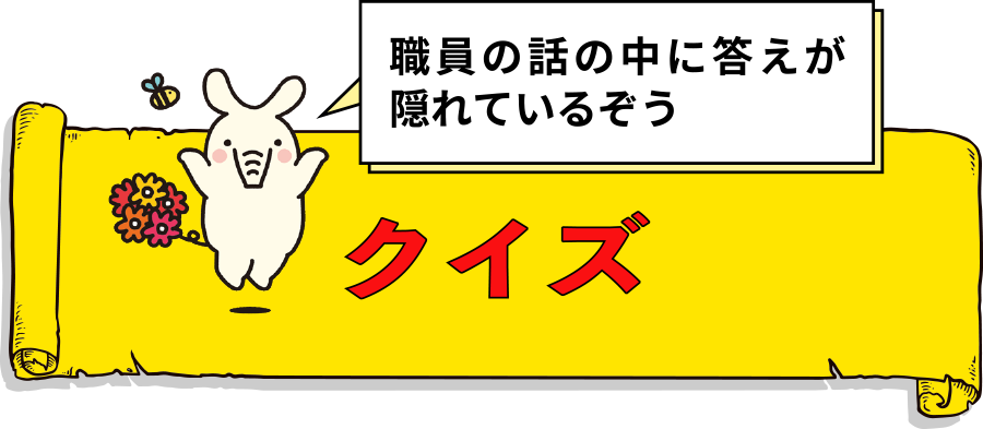 クイズ